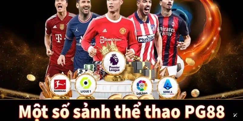 Giới thiệu các sảnh thể thao có mặt tại nền tảng
