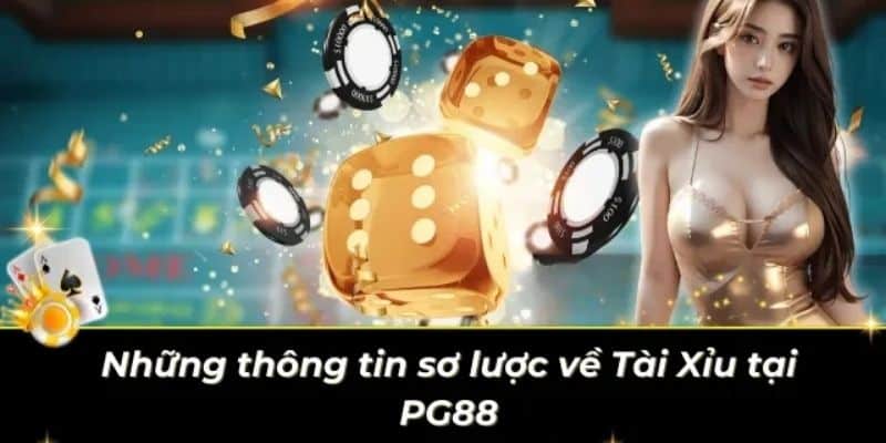 Giới thiệu chung về trò chơi tài xỉu PG88