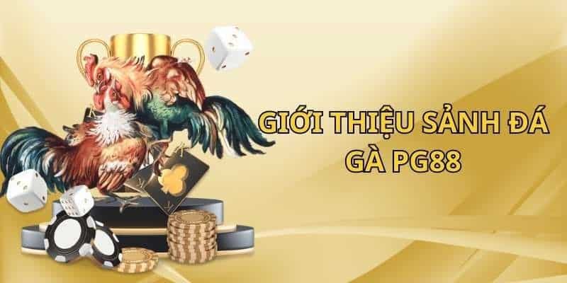 Tổng quan những đặc điểm chung về sảnh đá gà PG88